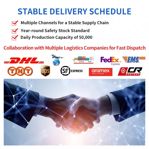 Daily Bamboo Charcoal Teeth Whitening Oral Care Kit